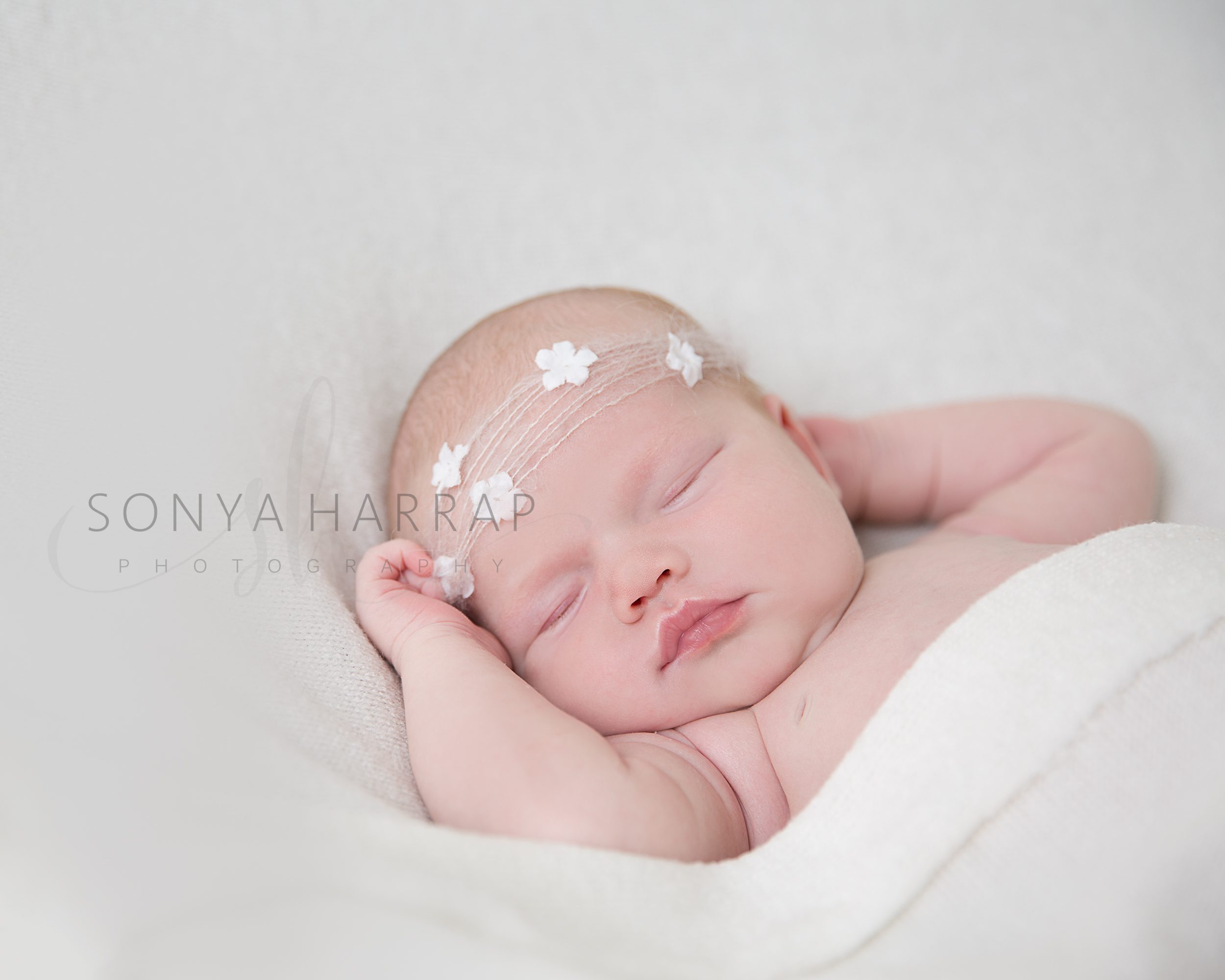 newborn baby girl on a cream wooden bowl with flower tieback and cream wrap on grey photo background by sonya Harrap photography