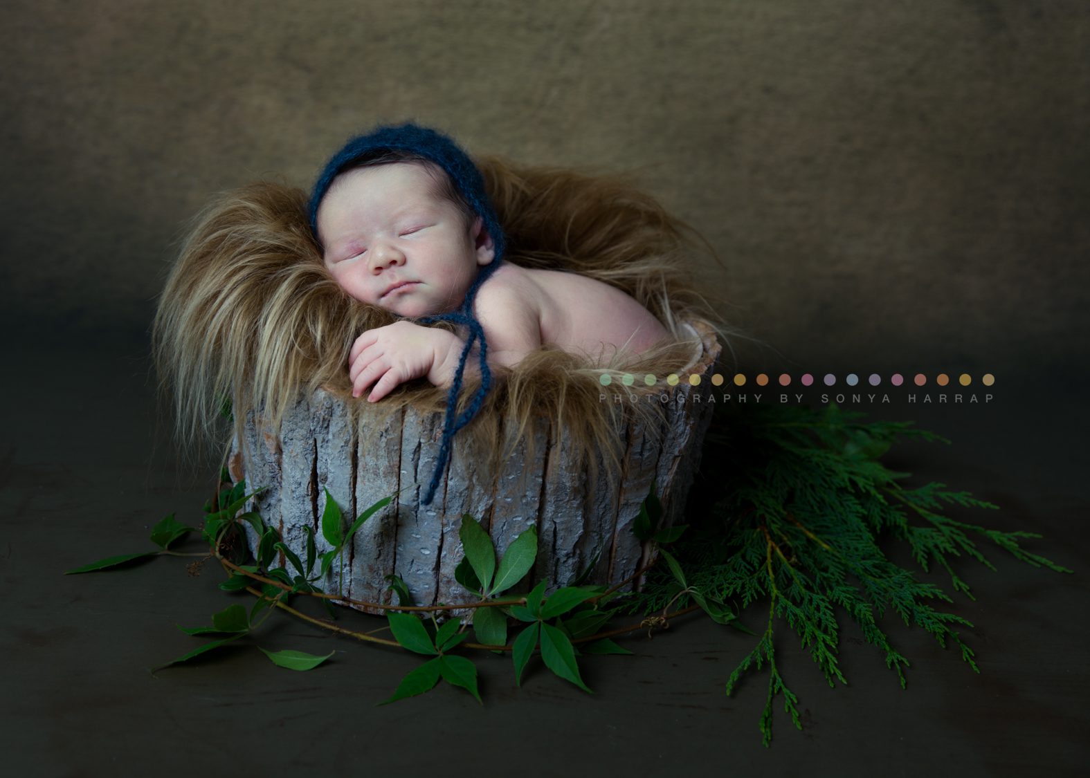 newborn baby boy on fluffy sheepskin in rustic wooden bark bowl by newborn photographer Sonya Harrap