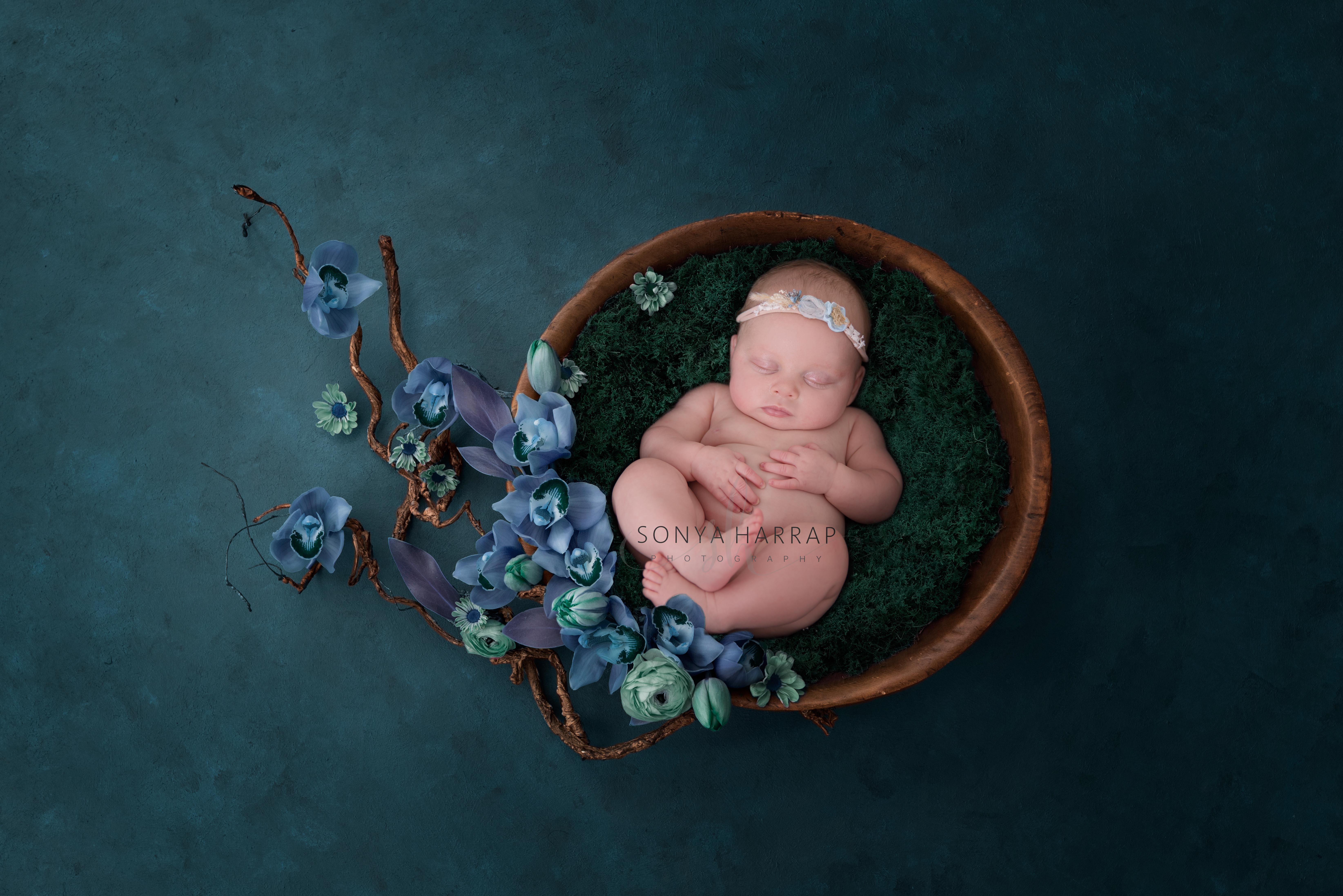baby newborn wrapped up in bowl on blue background and flowers for newborn photoshoot by Sonya Harrap