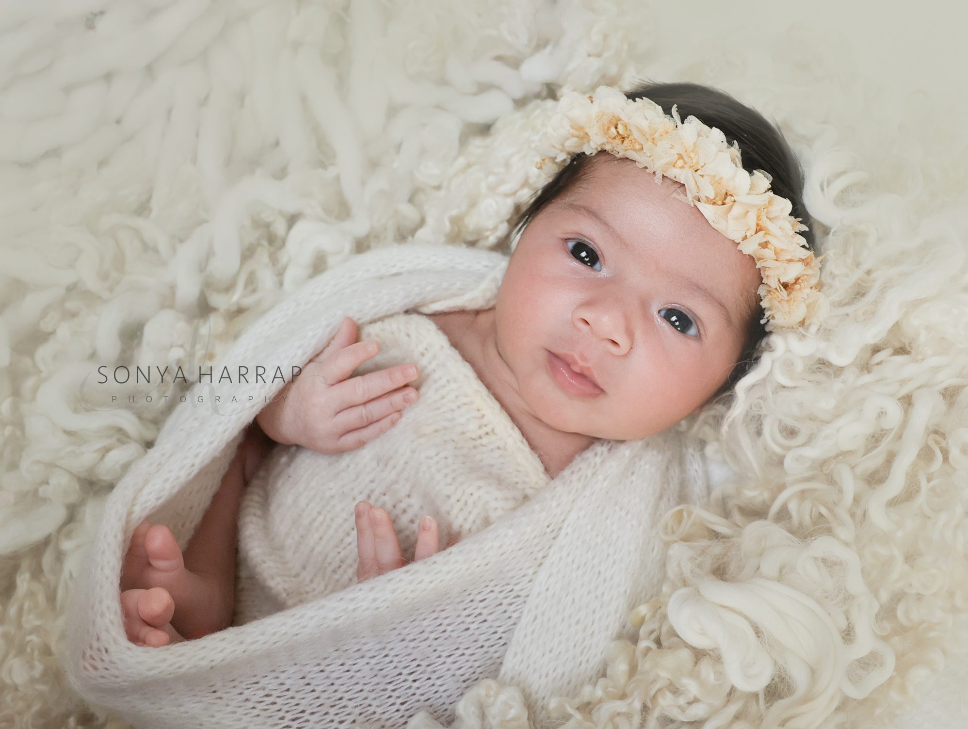Newborn photoshoot - new baby photos by Sonya HARRAP London and Hertfordshire