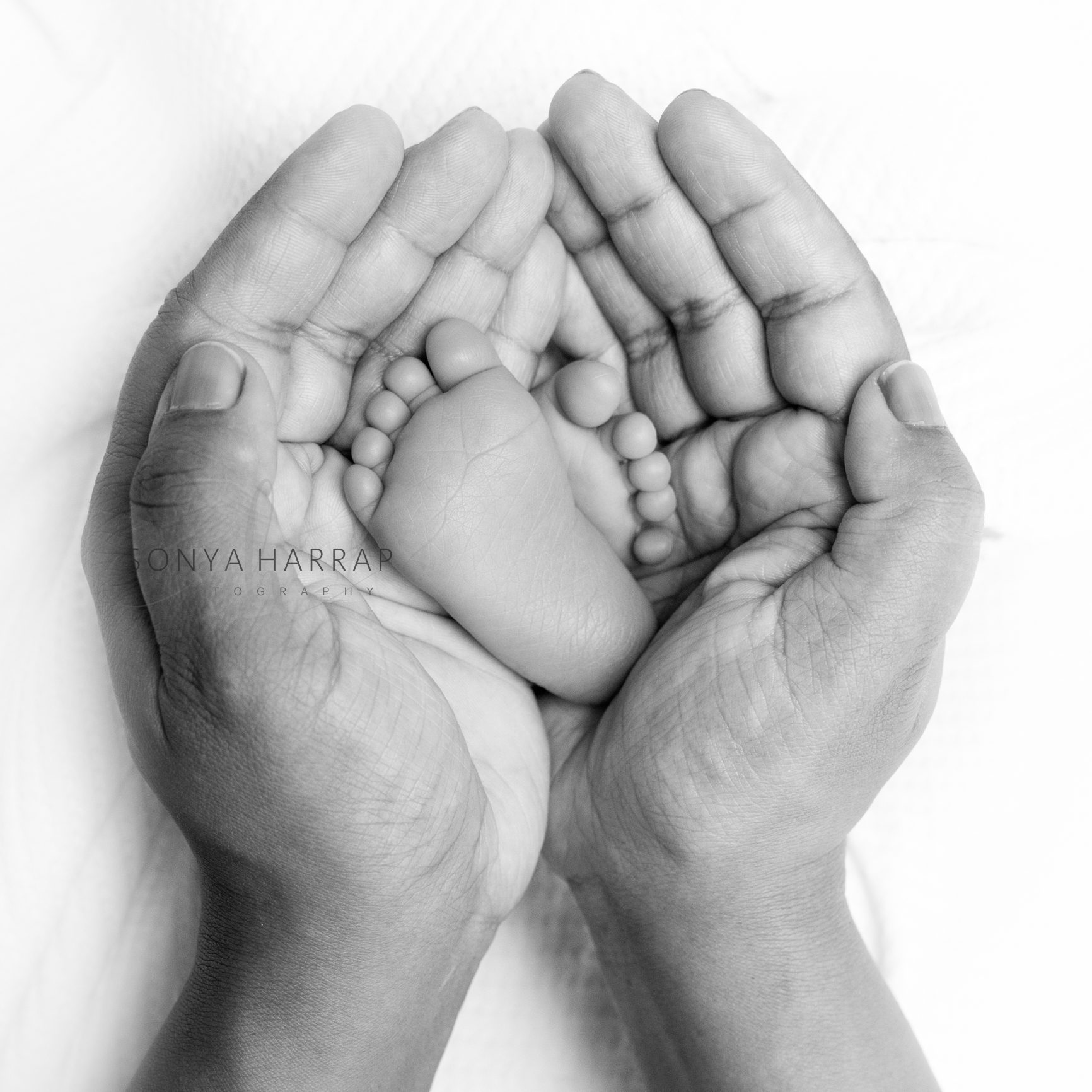 Welwyn garden city, St Albans, Potter Bar Newborn Photographer